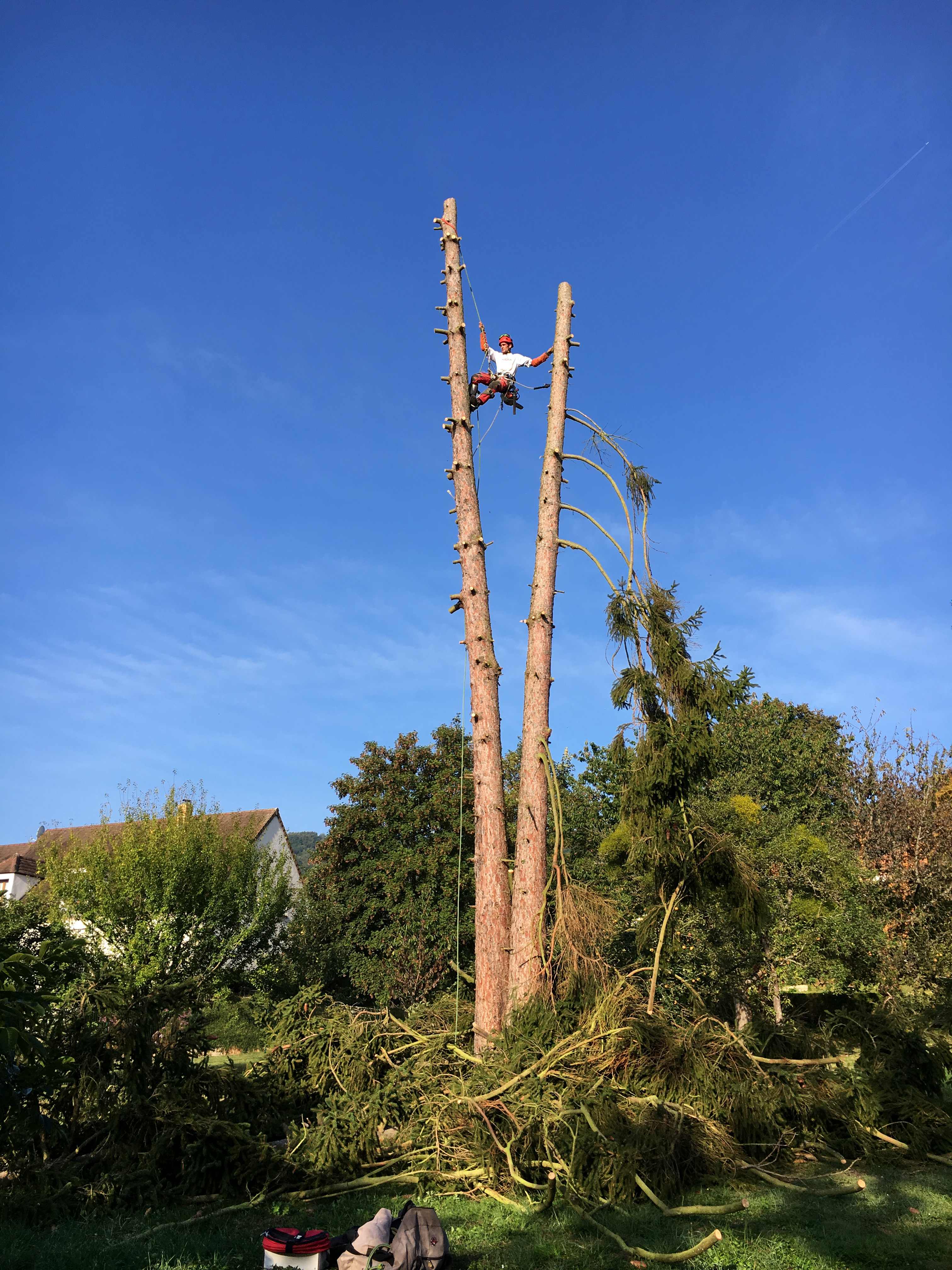 elagage abattage Jolgonne 02850